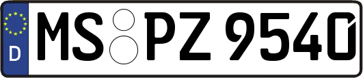 MS-PZ9540