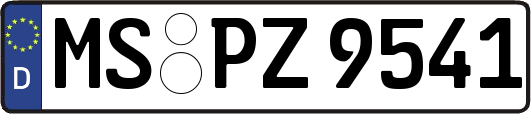MS-PZ9541