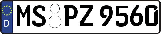 MS-PZ9560