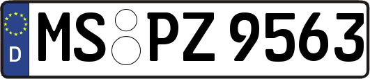 MS-PZ9563