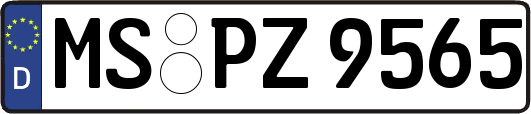MS-PZ9565