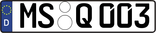 MS-Q003