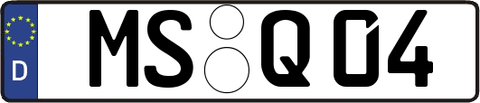 MS-Q04