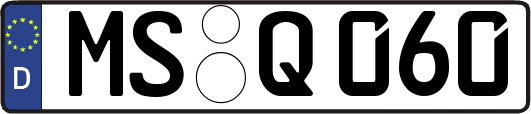 MS-Q060
