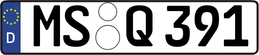 MS-Q391