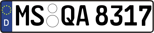MS-QA8317