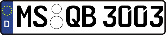 MS-QB3003