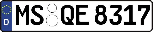 MS-QE8317