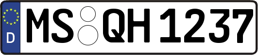 MS-QH1237