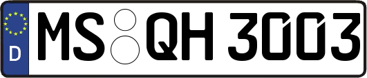 MS-QH3003