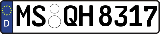 MS-QH8317