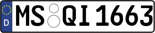 MS-QI1663