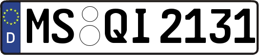 MS-QI2131