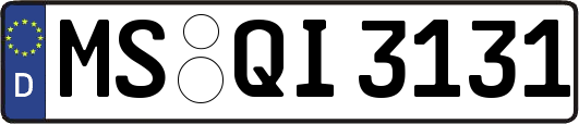 MS-QI3131