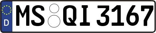 MS-QI3167