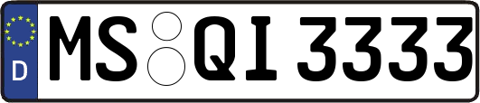 MS-QI3333