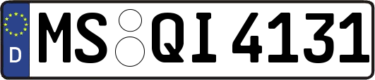 MS-QI4131