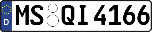 MS-QI4166