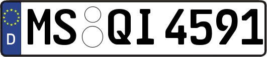 MS-QI4591