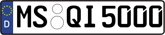MS-QI5000