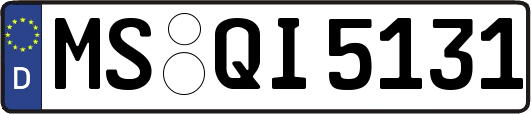 MS-QI5131
