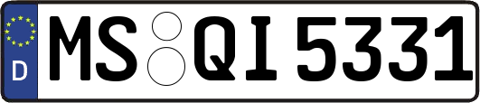 MS-QI5331