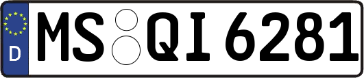 MS-QI6281