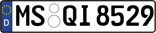 MS-QI8529