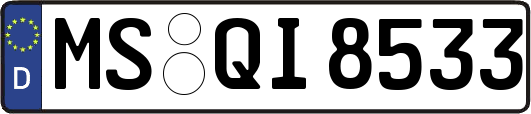 MS-QI8533
