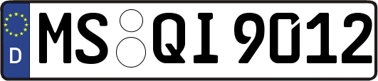 MS-QI9012