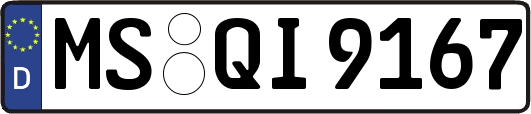 MS-QI9167