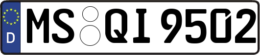 MS-QI9502