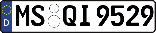 MS-QI9529