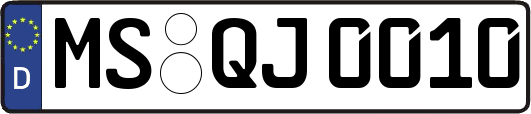 MS-QJ0010