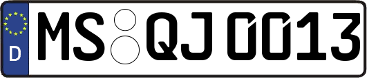 MS-QJ0013