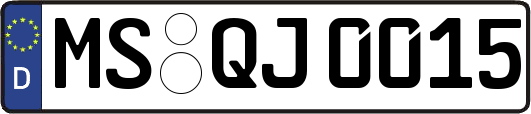 MS-QJ0015