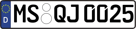 MS-QJ0025