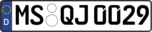 MS-QJ0029