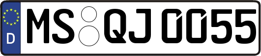 MS-QJ0055