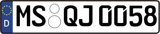 MS-QJ0058