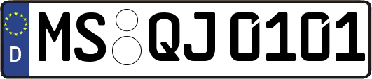 MS-QJ0101