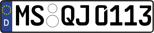 MS-QJ0113