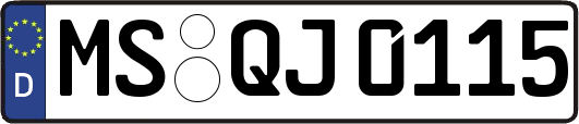 MS-QJ0115