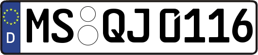 MS-QJ0116