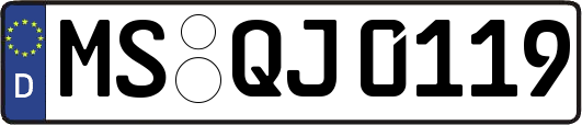 MS-QJ0119