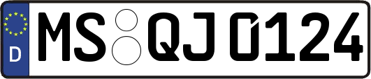 MS-QJ0124