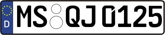 MS-QJ0125