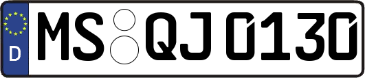 MS-QJ0130