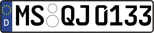 MS-QJ0133