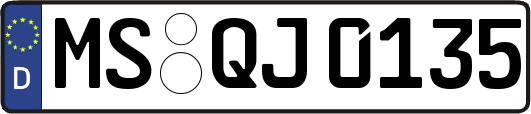 MS-QJ0135